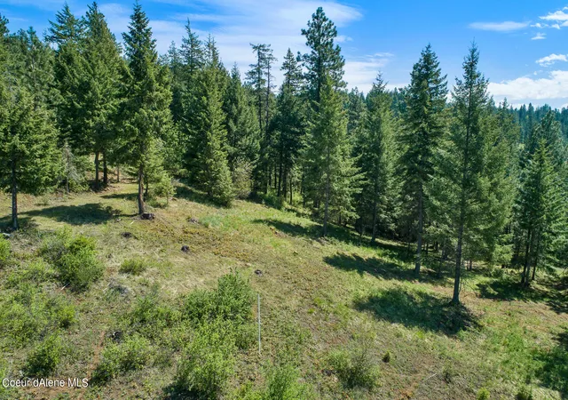 Photo 3 of Sale Pending at Lot 149 Gadwell, Harrison, ID 83833 | MLS# 26-3547 | Listing updated on 2026-08-31