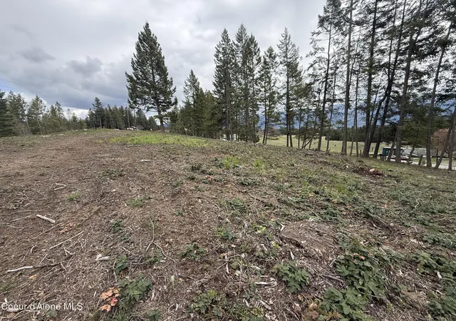 Homes for sale in Bonners Ferry, ID | Nka Blue Sky Rd, Bonners Ferry, ID 83805 | MLS# 26-3701