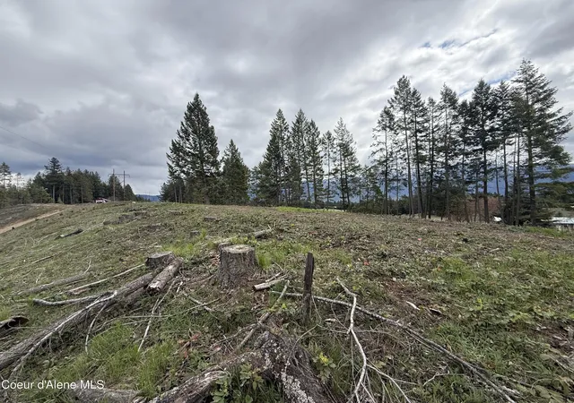 Homes for sale in Bonners Ferry, ID | Nka Blue Sky Rd, Bonners Ferry, ID 83805 | MLS# 26-3701