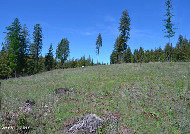 Photo 3 of Land for sale at Lot 21 Camp Bay, Sagle, ID 83860 | MLS# 26-3725 | Listing updated on 2026-05-08