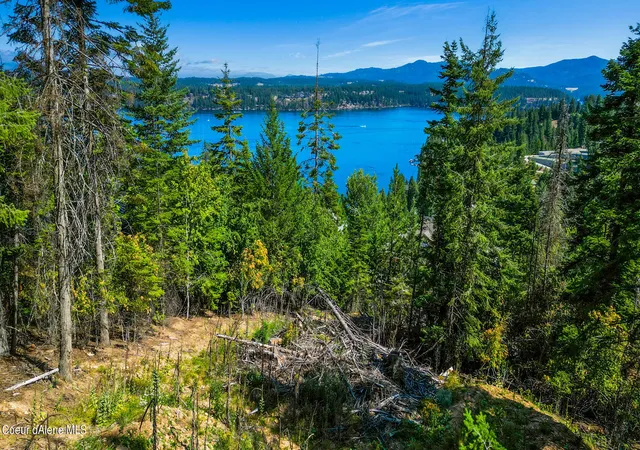 Homes for sale in Hayden, ID | Nna E Lookout Dr, Hayden, ID 83835 | MLS# 26-3712