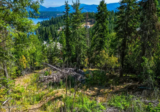 Homes for sale in Hayden, ID | Nna E Lookout Dr, Hayden, ID 83835 | MLS# 26-3712