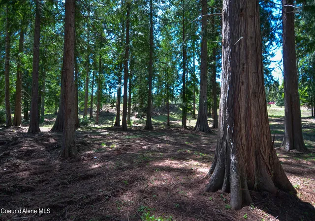 4th image of Est Lot 3 Camp Bay Estates, Sagle, ID 83860 | MLS# 26-3727