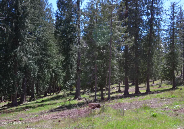 5th image of Est Lot 3 Camp Bay Estates, Sagle, ID 83860 | MLS# 26-3727