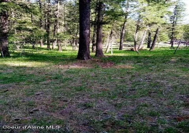 3rd image of 405 Shady Ln, Wallace, ID 83873 | MLS# 26-4177