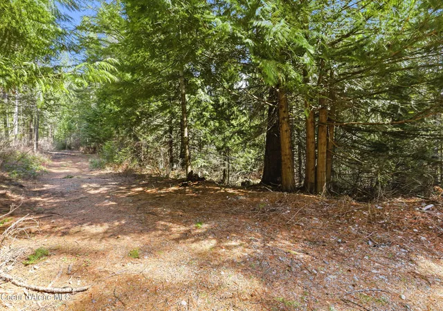 Homes for sale in Spirit Lake, ID | Nka Poverty Ln, Spirit Lake, ID 83869 | MLS# 26-3741
