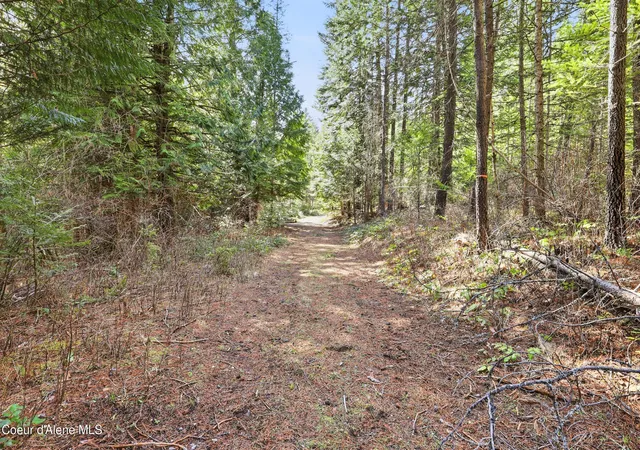 Homes for sale in Spirit Lake, ID | Nka Poverty Ln, Spirit Lake, ID 83869 | MLS# 26-3741