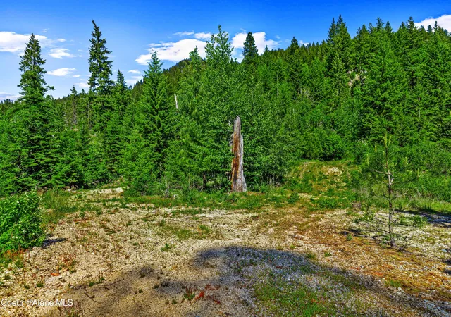 5th image of Nna Kirby Mt ( West 5 Acres ), Sandpoint, ID 83864 | MLS# 26-3750