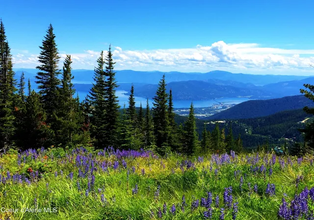 4th image of 4 Crystal Springs Rd, Sandpoint, ID 83864 | MLS# 26-4711