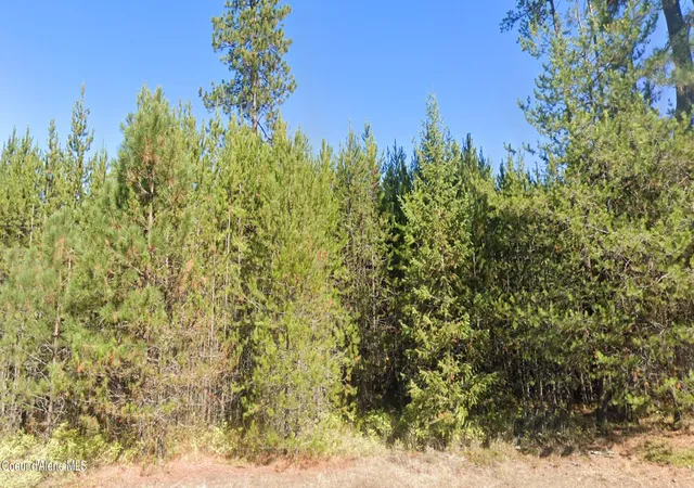 2nd image of 755 Tweedie Rd, Blanchard, ID 83804 | MLS# 26-3822