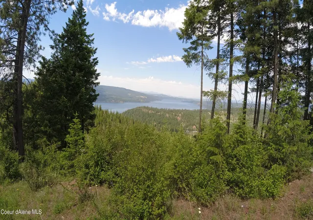 Photo 3 of Land for sale at Nna Alamo Rd, Harrison, ID 83833 | MLS# 26-4635 | Listing updated on 2026-08-04