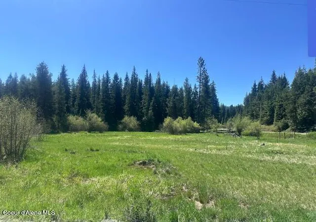 Homes for sale in St. Maries, ID | Nka Santa Creek Rd, St. Maries, ID 83861 | MLS# 26-3907