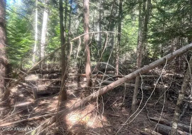 3rd image of Nka Santa Creek Rd, St. Maries, ID 83861 | MLS# 26-3907