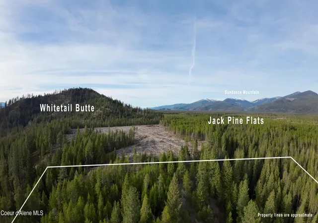 1st image of Nna Mud Gulch, Priest River, ID 83856 | MLS# 26-3979