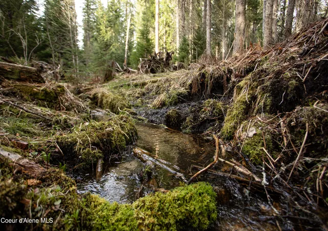 31st image of Nna Mud Gulch, Priest River, ID 83856 | MLS# 26-3979