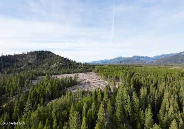 5th image of Nna Mud Gulch, Priest River, ID 83856 | MLS# 26-3979