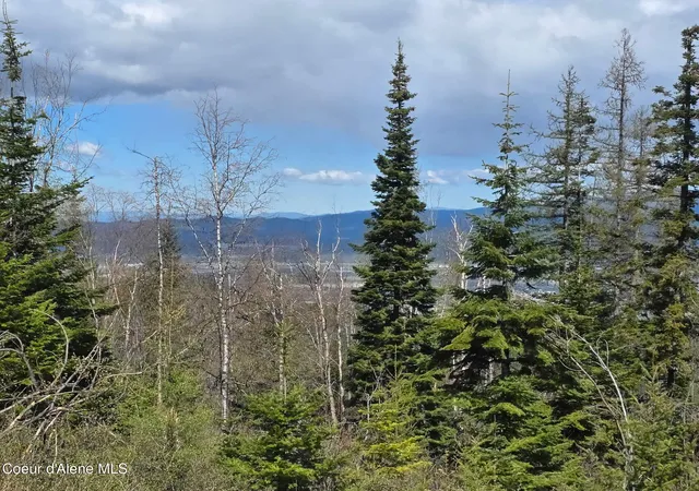 Photo 4 of Land for sale at Nka Blessing Hl Rd, Post Falls, ID 83854 | MLS# 26-4051 | Listing updated on 2026-07-31