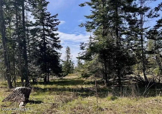 2nd image of Tbd Harris Ridge Rd, Kooskia, ID 83539 | MLS# 26-4036