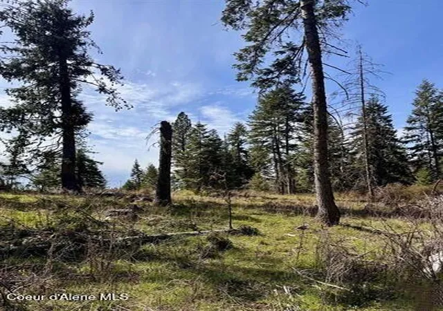 3rd image of Tbd Harris Ridge Rd, Kooskia, ID 83539 | MLS# 26-4036