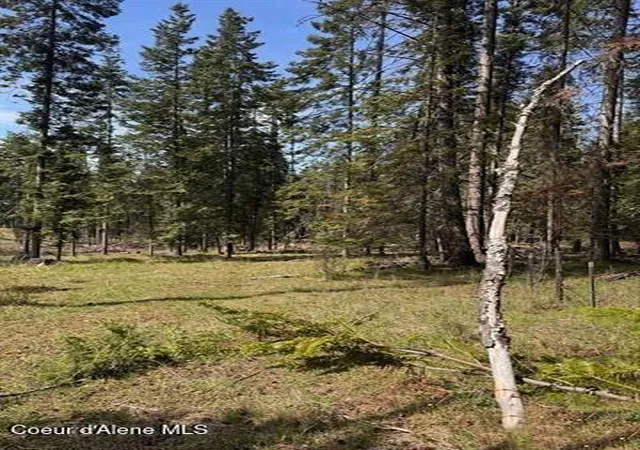 5th image of Tbd Harris Ridge Rd, Kooskia, ID 83539 | MLS# 26-4036
