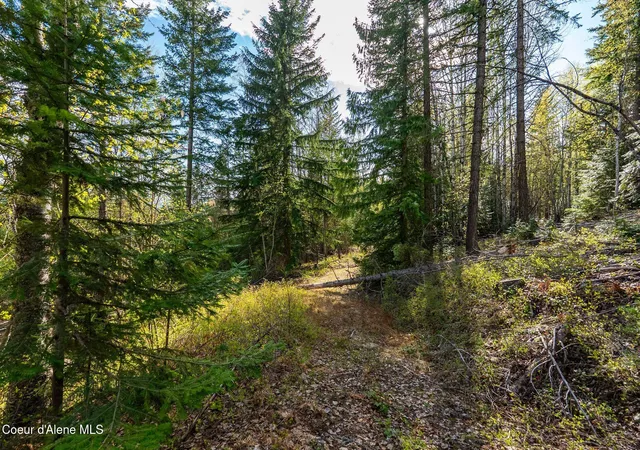 Homes for sale in Sandpoint, ID | 13259 Baldy Mountain Rd, Sandpoint, ID 83864 | MLS# 26-4342
