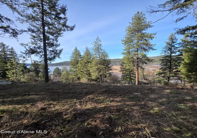 Homes for sale in Harrison, ID | Nka Garfeild, Harrison, ID 83833 | MLS# 26-4312
