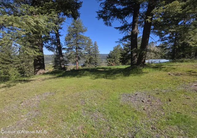 Homes for sale in Harrison, ID | Nka Garfeild, Harrison, ID 83833 | MLS# 26-4312