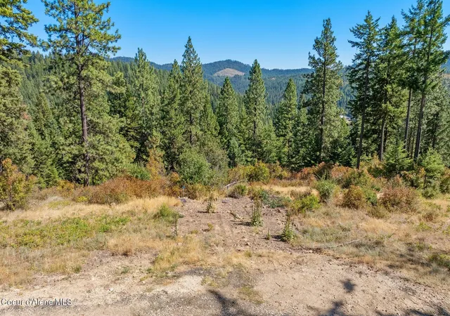 Homes for sale in Harrison, ID | Nna Hanson Rd, Harrison, ID 83833 | MLS# 26-4094