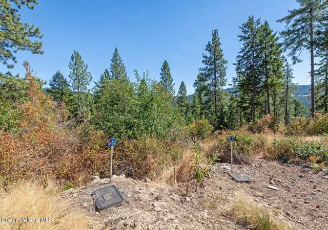Homes for sale in Harrison, ID | Nna Hanson Rd, Harrison, ID 83833 | MLS# 26-4094