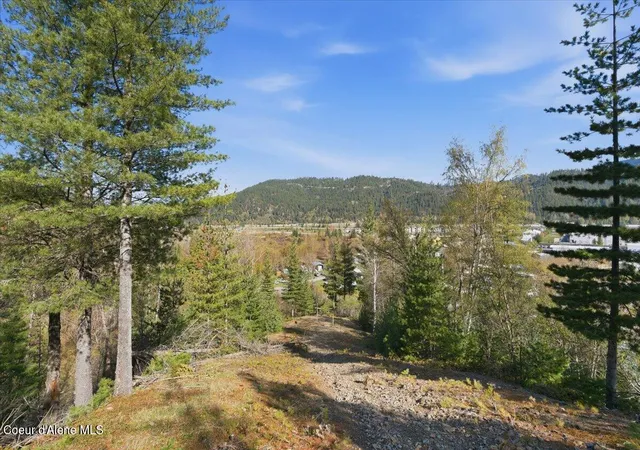 3rd image of Nka 80Ac Main St, Smelterville, ID 83868 | MLS# 26-4085