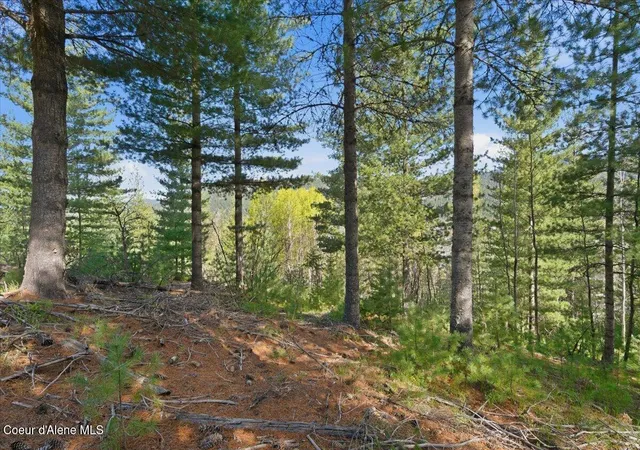 4th image of Nka 80Ac Main St, Smelterville, ID 83868 | MLS# 26-4085