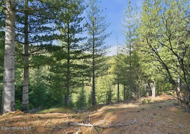 5th image of Nka 80Ac Main St, Smelterville, ID 83868 | MLS# 26-4085