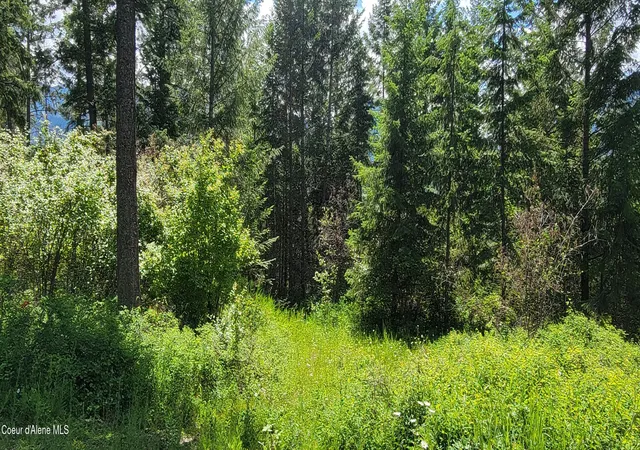 3rd image of Smugglers Ln Tract A East, Bonners Ferry, ID 83805 | MLS# 26-4120