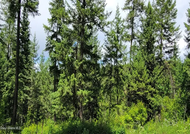 5th image of Smugglers Ln Tract A East, Bonners Ferry, ID 83805 | MLS# 26-4120