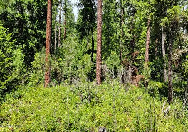 8th image of Smugglers Ln Tract A East, Bonners Ferry, ID 83805 | MLS# 26-4120
