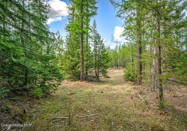 Homes for sale in Sandpoint, ID | Tbd Wellington, Sandpoint, ID 83864 | MLS# 26-4412