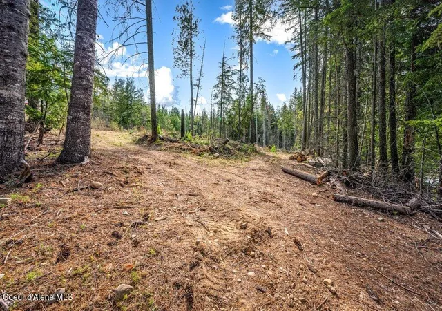 Homes for sale in Sandpoint, ID | Tbd Wellington, Sandpoint, ID 83864 | MLS# 26-4412