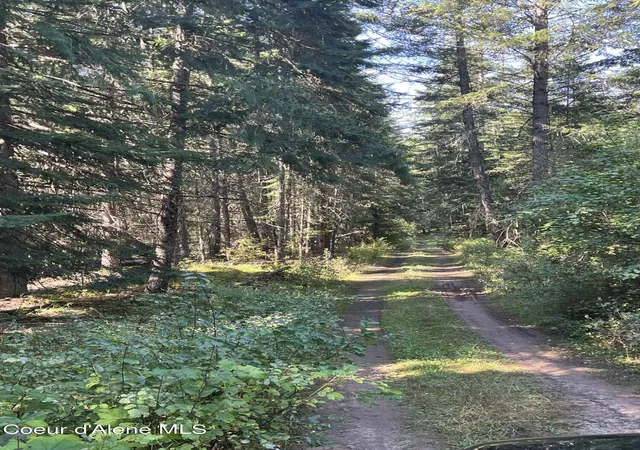 Photo 3 of Land for sale at 5856 Lacey Meadows Rd, Weippe, ID 83553 | MLS# 26-4215 | Listing updated on 2026-06-12