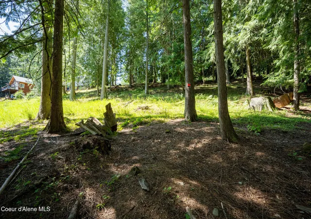 17th image of Nna Bay Dr, Sagle, ID 83860 | MLS# 26-4341