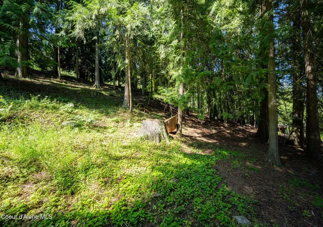 4th image of Nna Bay Dr, Sagle, ID 83860 | MLS# 26-4341