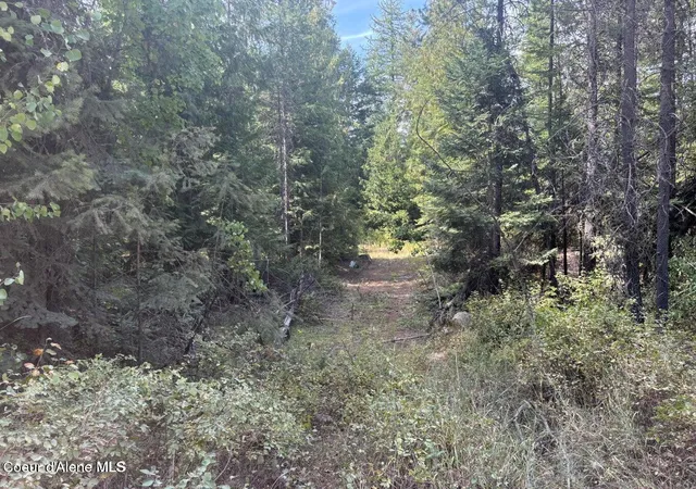 Homes for sale in Spirit Lake, ID | 4757 W Spirit Bend Ave, Spirit Lake, ID 83869 | MLS# 26-4257