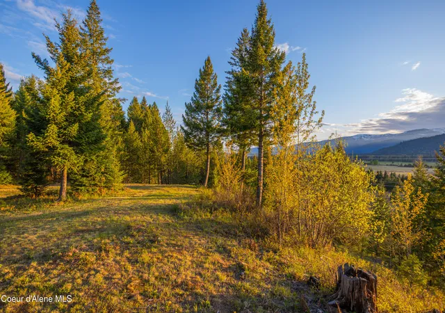 Homes for sale in Sandpoint, ID | 1894 Bowen Arrow Rd, Sandpoint, ID 83864 | MLS# 26-4261