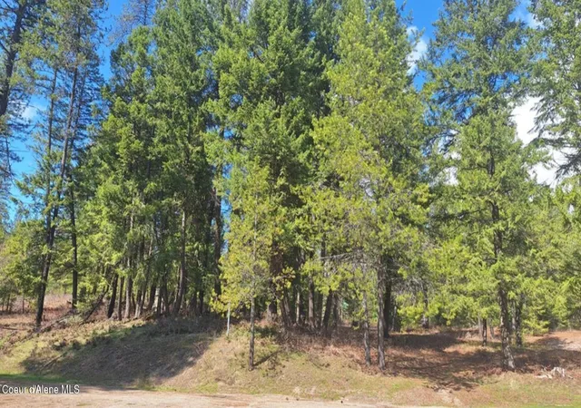 1st image of Nna Parkland Dr, Blanchard, ID 83804 | MLS# 26-4292