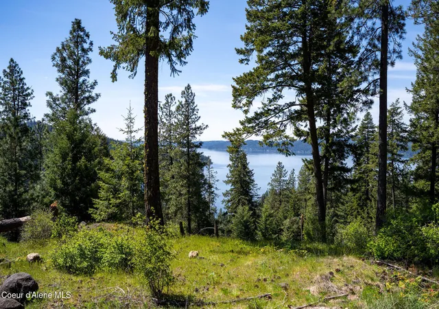 3rd image of L11 B3 Hanson Rd, Harrison, ID 83833 | MLS# 26-4364