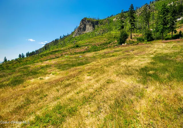 Homes for sale in Bayview, ID | Lt 1 Blk 3 Moose Track / E Cape Horn Rd, Bayview, ID 83803 | MLS# 26-4367