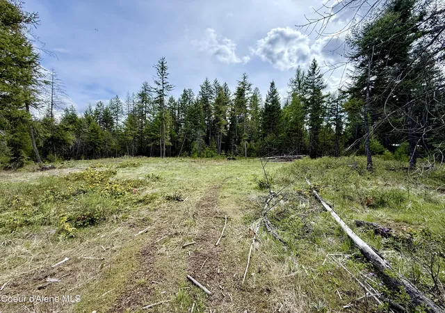 44th image of 36701 Hwy 41, Oldtown, ID 83822 | MLS# 26-4369