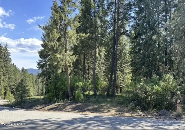 3rd image of Naa S Whitetail Crossing Ct, Coeur D Alene, ID 83814 | MLS# 26-4414