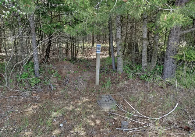Homes for sale in Bonners Ferry, ID | Nna Lost Mile Rd, Bonners Ferry, ID 83805 | MLS# 26-4453