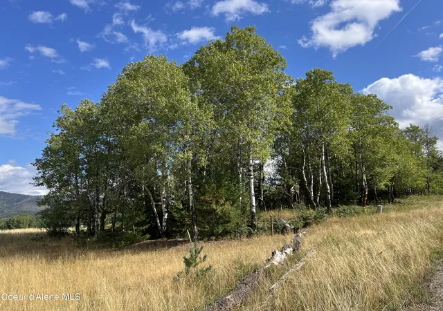 3rd image of 278 Diamond Hitch Dr, Kellogg, ID 83837 | MLS# 26-4454