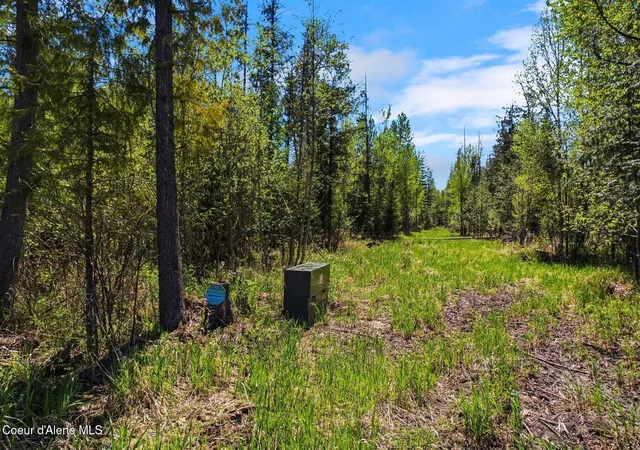 Homes for sale in Sandpoint, ID | 522 W Bronx Rd, Sandpoint, ID 83864 | MLS# 26-4521